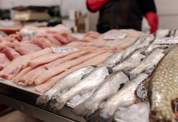 W Polsce jest niedoceniana. Ryba brama z powodzeniem zastąpi dorsza