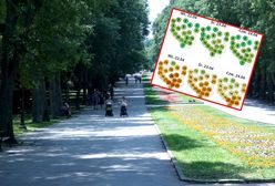 Jaka pogoda po Wielkanocy? "Bardziej dynamiczna"
