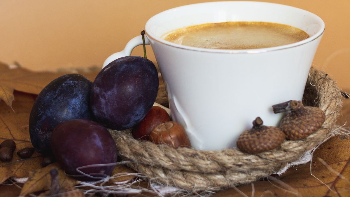 Kawa żołędziówka i jej właściwości