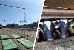 Na Słowacji spokój, a w Polsce strach. Zaraz może zabrać im wszystko