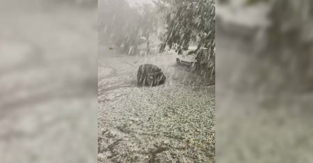 Niecodzienny widok. W Szwajcarii na ulicy zrobiło się biało