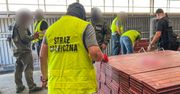 Otworzyli kontener z deskami w porcie w Gdyni. Strażnicy osłupieli