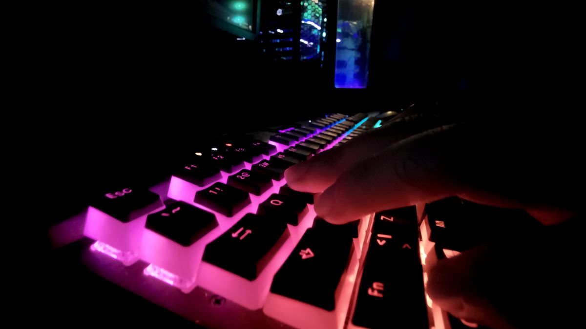 Zamiast nowej karty graficznej do gier, klient otrzymał… cegłę