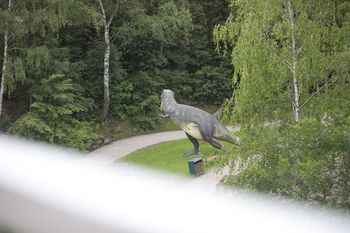 Nowa atrakcja w chorzowskim ZOO. Spacer wśród prehistorycznych gadów. Kładka nad Kotliną Dinozaurów otwarta