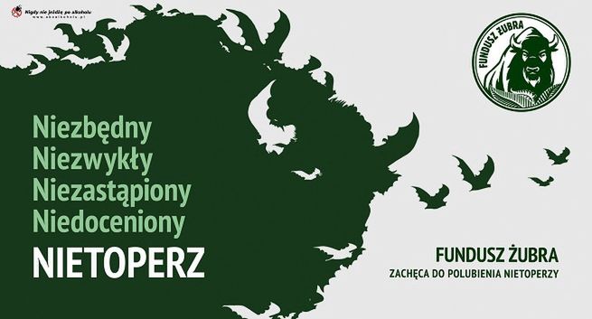 Marka Żubr z akcją mająca ocieplić wizerunek nietoperzy