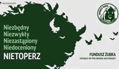 Marka Żubr z akcją mająca ocieplić wizerunek nietoperzy