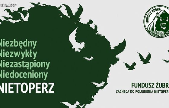 Marka Żubr z akcją mająca ocieplić wizerunek nietoperzy