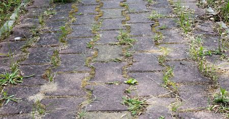 Wylej na kostkę brukową. Zadziała jak myjka ciśnieniowa