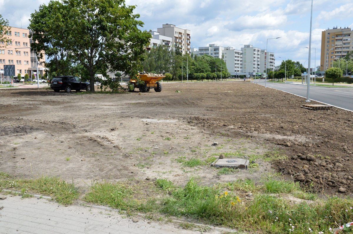 Na wyspie oddzielającej jezdnię posadzona zostanie zieleń