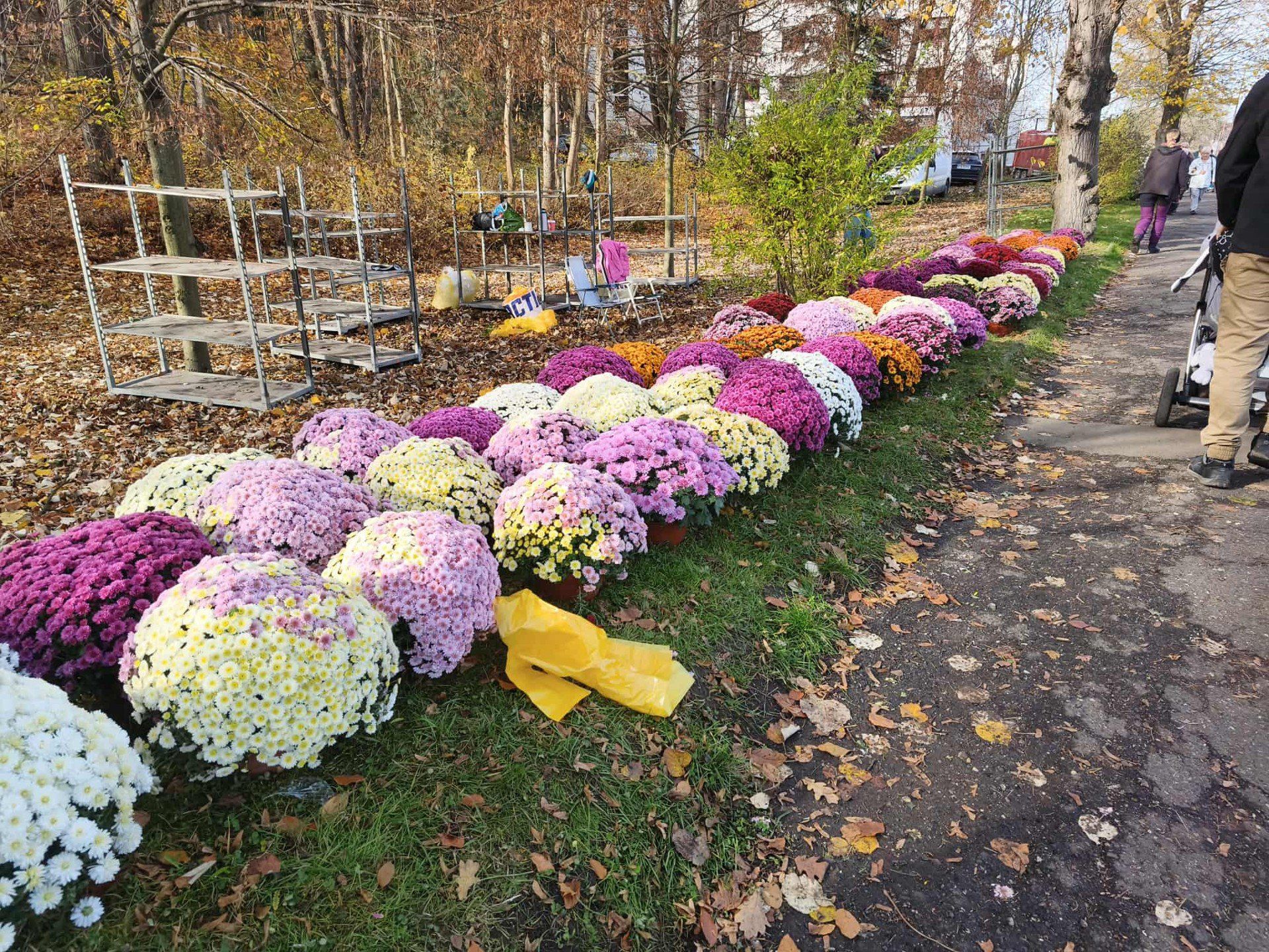 1.11.2025 Tłumy na cmentarzach w Jeleniej Górze