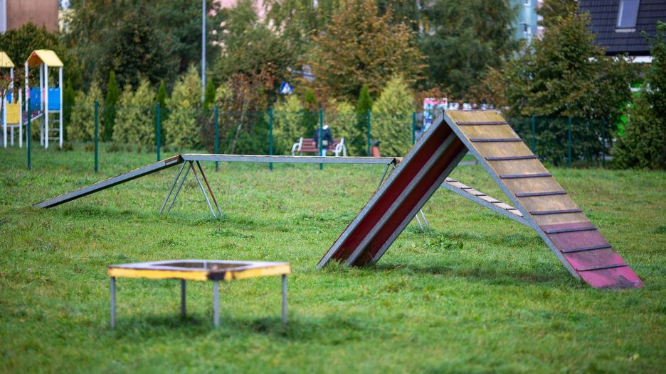 Gdzie w Słupsku na spacer z psem?