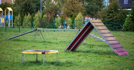 Słupsk: Tam wyjdziesz z psem na spacer? Znasz te miejsca?