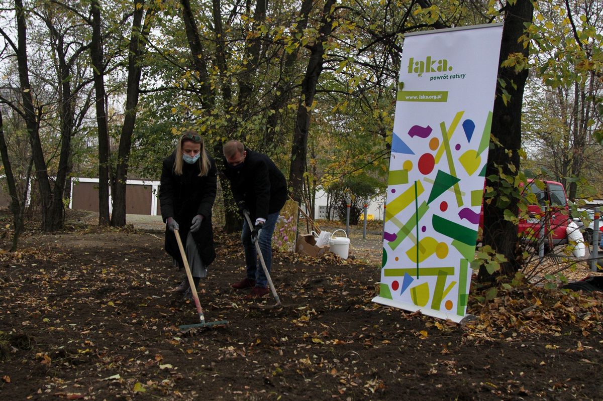 Śląskie. Metropolii sposób na suszę, łąki kwietne