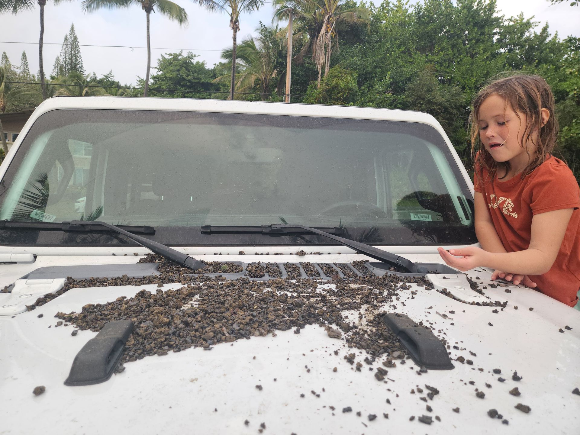 Najbardziej ucierpiały stojące w pobliżu parku auta