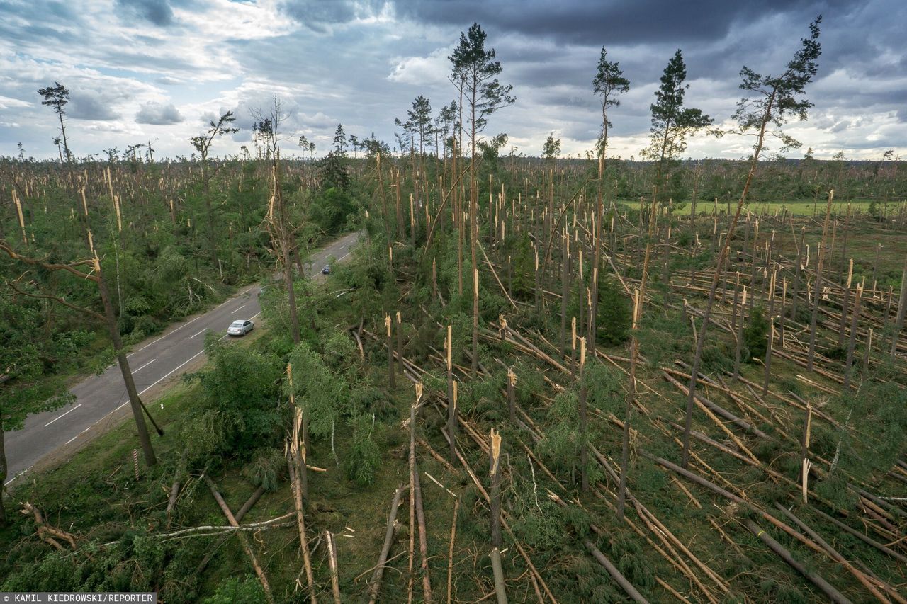 Okolice Suszka z lotu ptaka
13.08.2017. W wyniku nawałnicy w Szuszku zginęły dwie harcerki