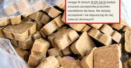 Alert dla czterech województw. Zacznie się 19 września