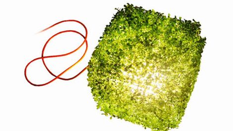 Lampa pokryta trawą 1