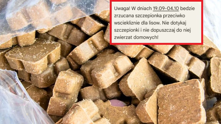 Ważne alerty dla mieszkańców. Chodzi o groźną chorobę