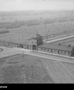 Wyciągnęła swojego męża z Auschwitz. "Słała pismo za pismem, nawet do Hitlera"