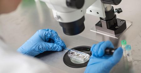 In vitro – dlaczego warto spróbować?