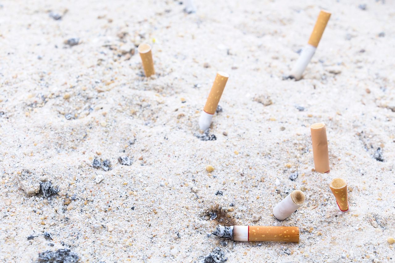 Cigarette butts on beaches are a huge problem.