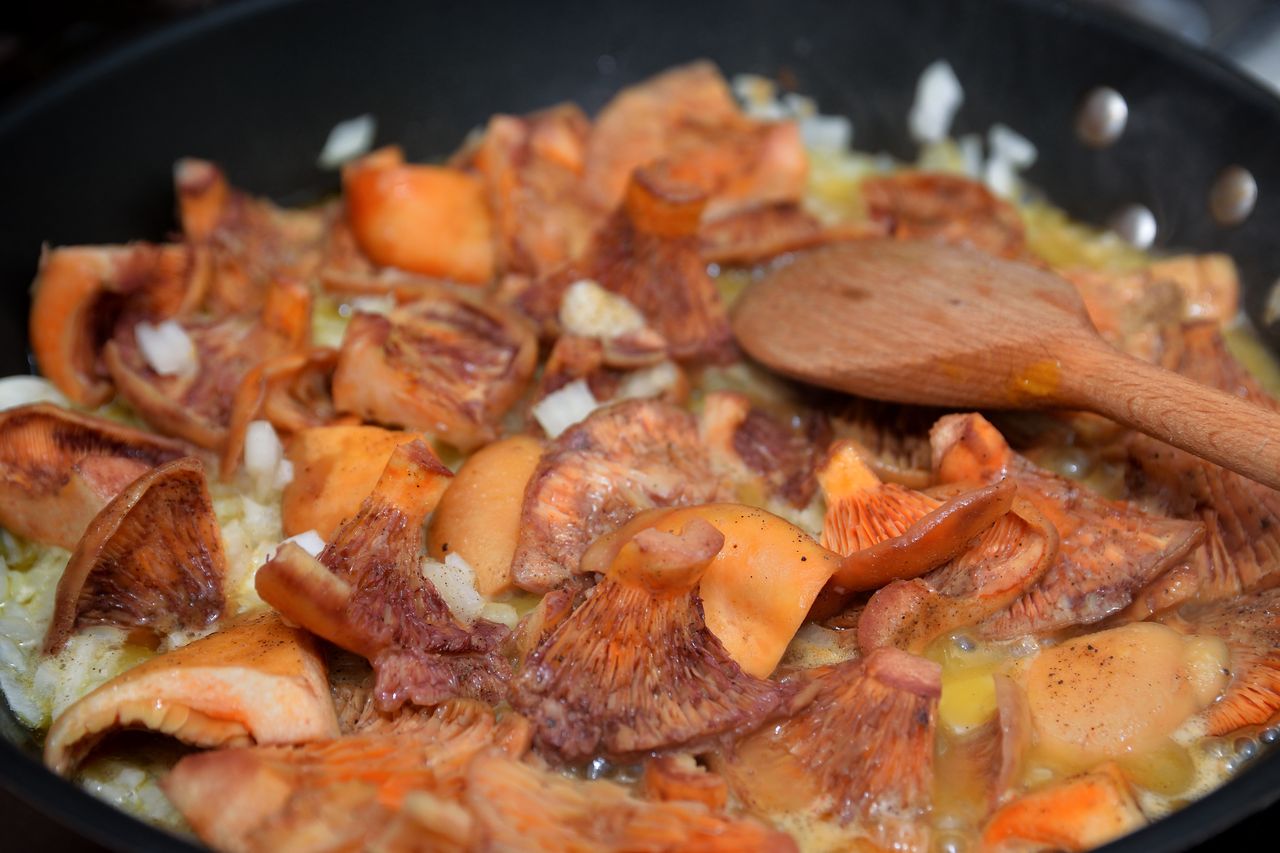 Saffron milk caps sautéed with onions make a great base for scrambled eggs.