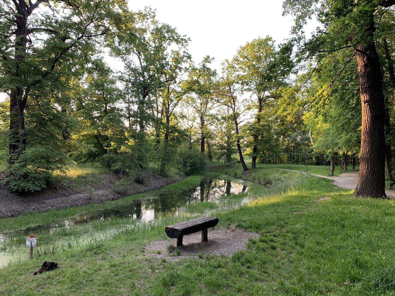 Wrocław. Bezpłatne zajęcia z jogi w niedziele. Wystarczy przyjść do Parku Szczytnickiego