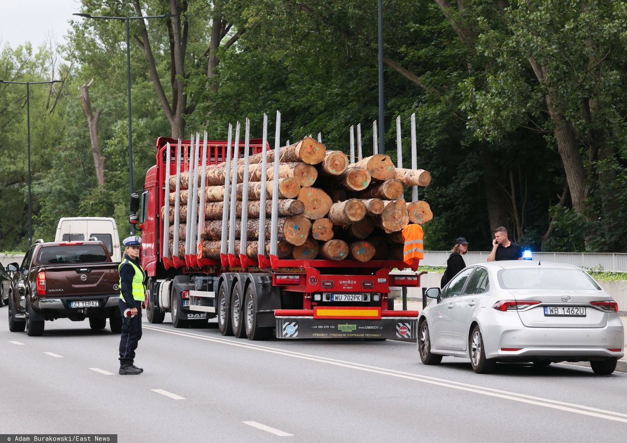 Lasy Państwowe pokazały, gdzie pojechało polskie drewno