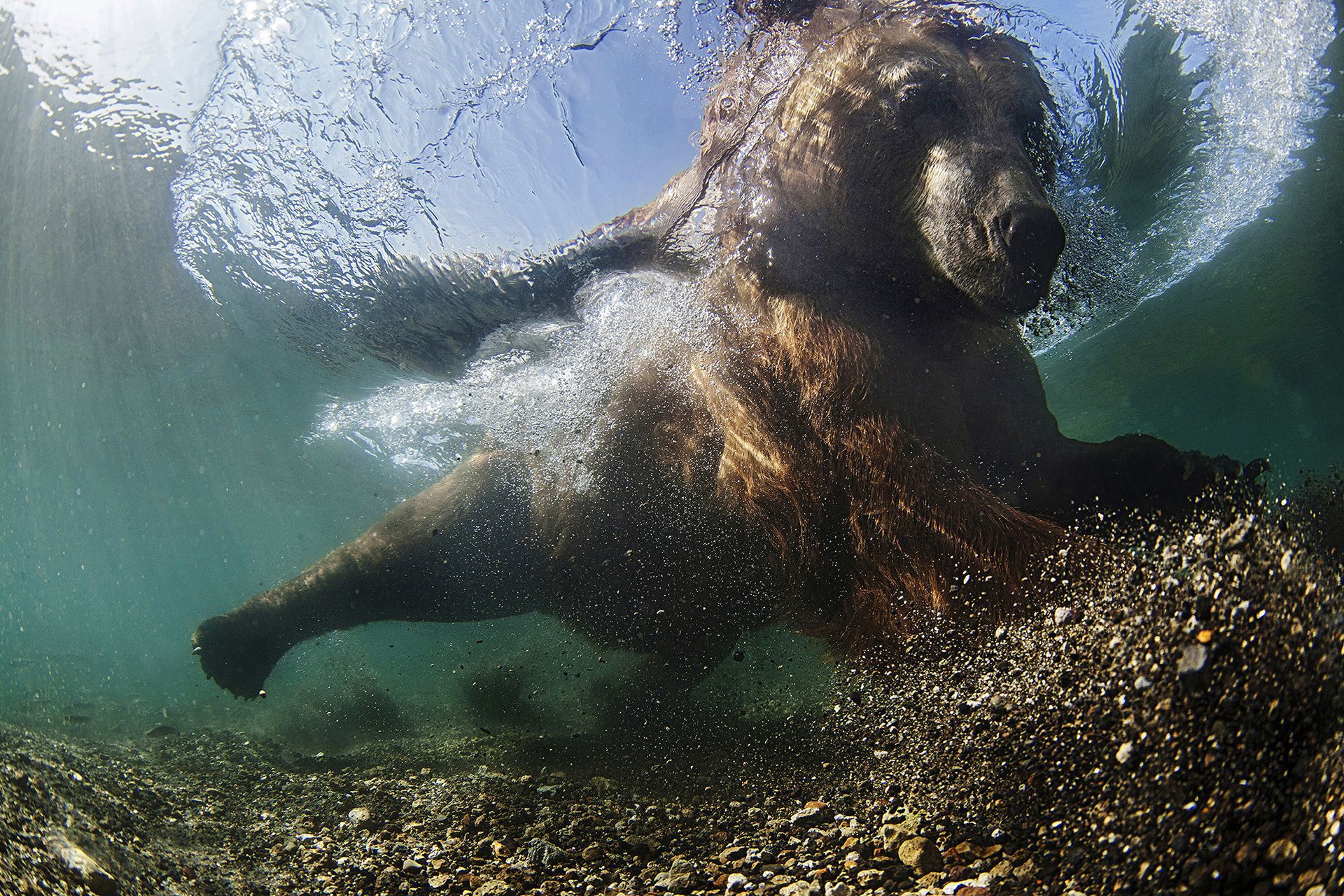 Polak laureatem Siena International Photo Awards 2016 11