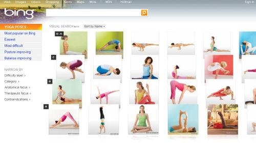 Bing i wizualizacja wyników wyszukiwania 1