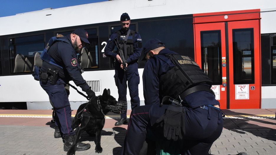 Duże ćwiczenia służb na DK 55 koło Malborka
