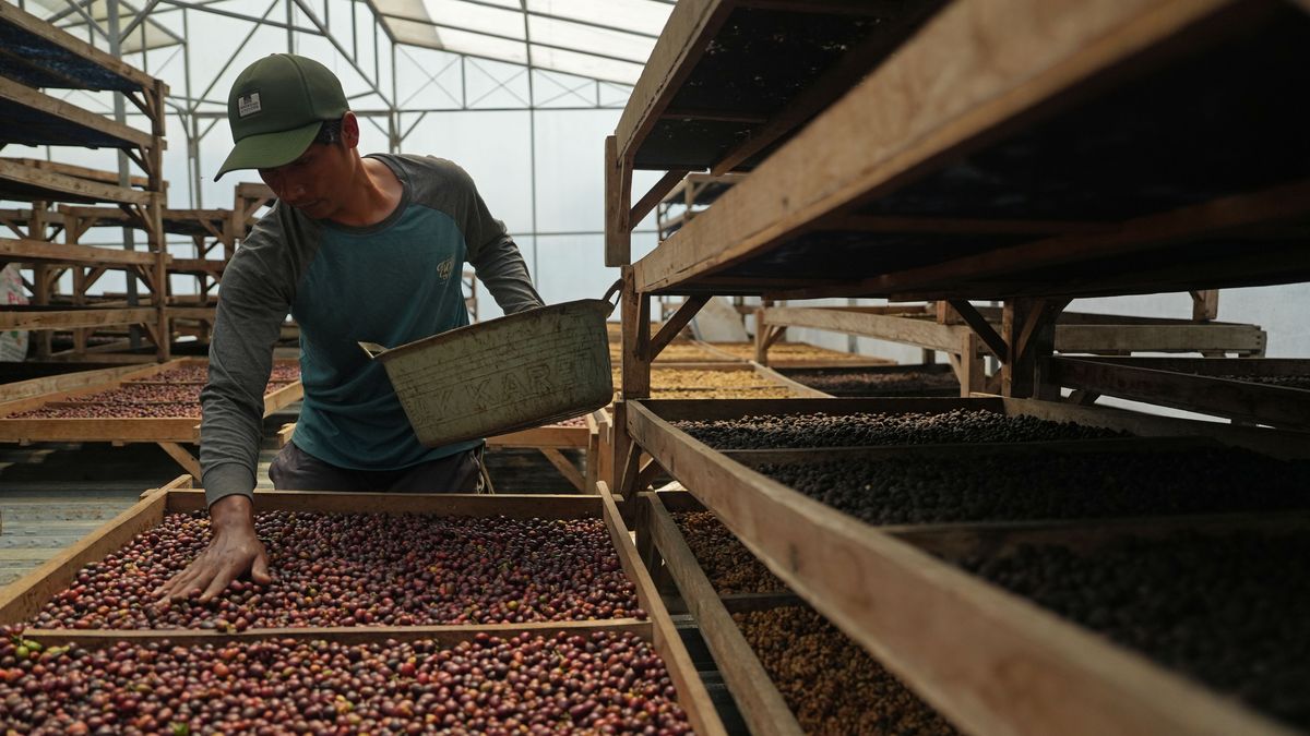 Ceny kawy pójdą w górę