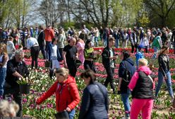 Ludzie zjeżdżają tu z różnych stron. W weekendy trudno zaparkować