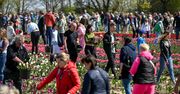 Ludzie zjeżdżają tu z różnych stron. W weekendy trudno zaparkować