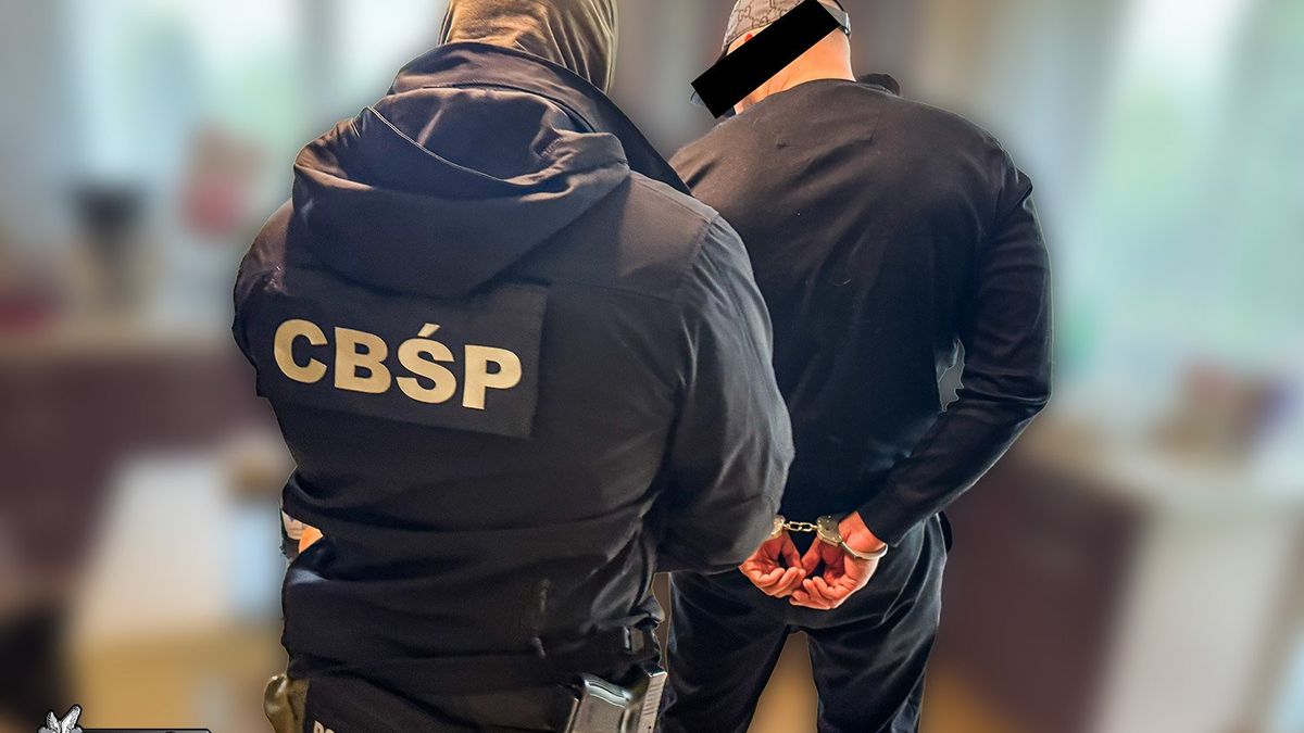 Zatrzymano członków grupy przestępczej
