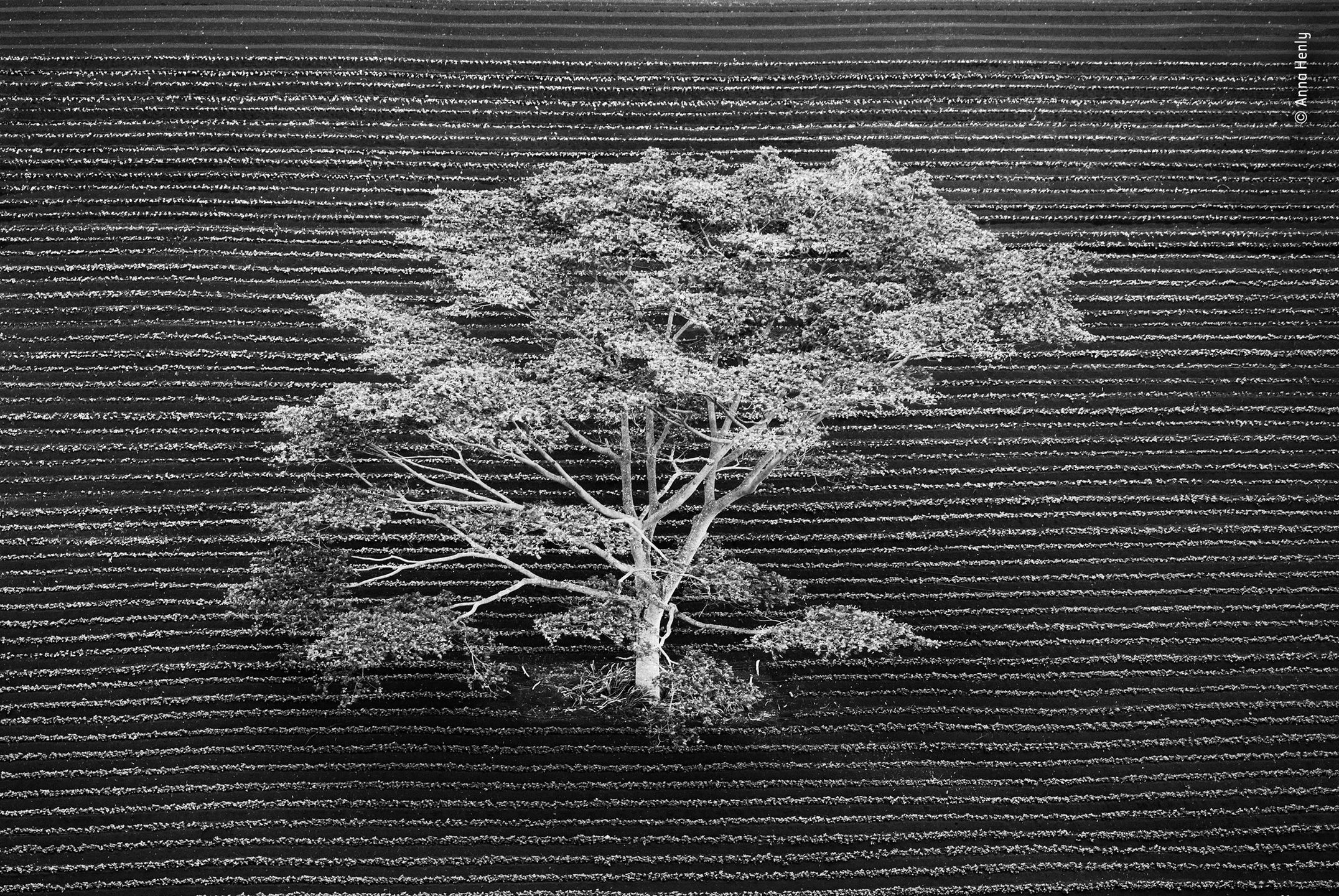 Panasonic przyzna nagrodę publiczności w konkursie Wildlife Photographer of the Year 23