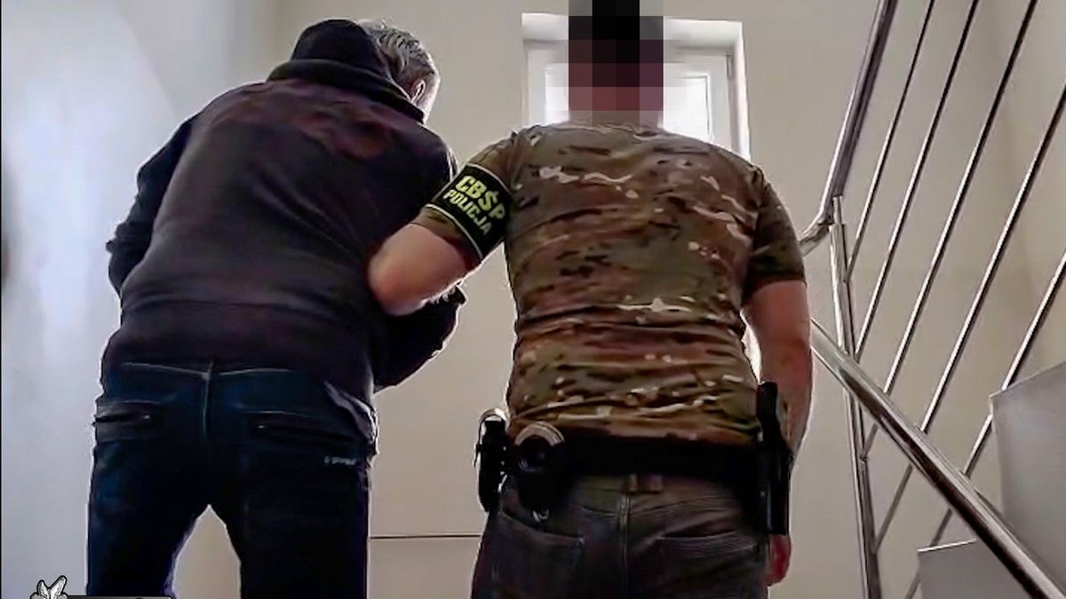 policja