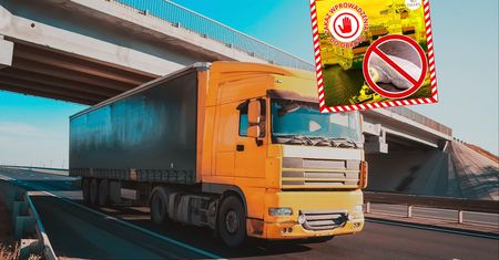 Takie ryby jechały do nas z Rosji. Natychmiastowa reakcja służb