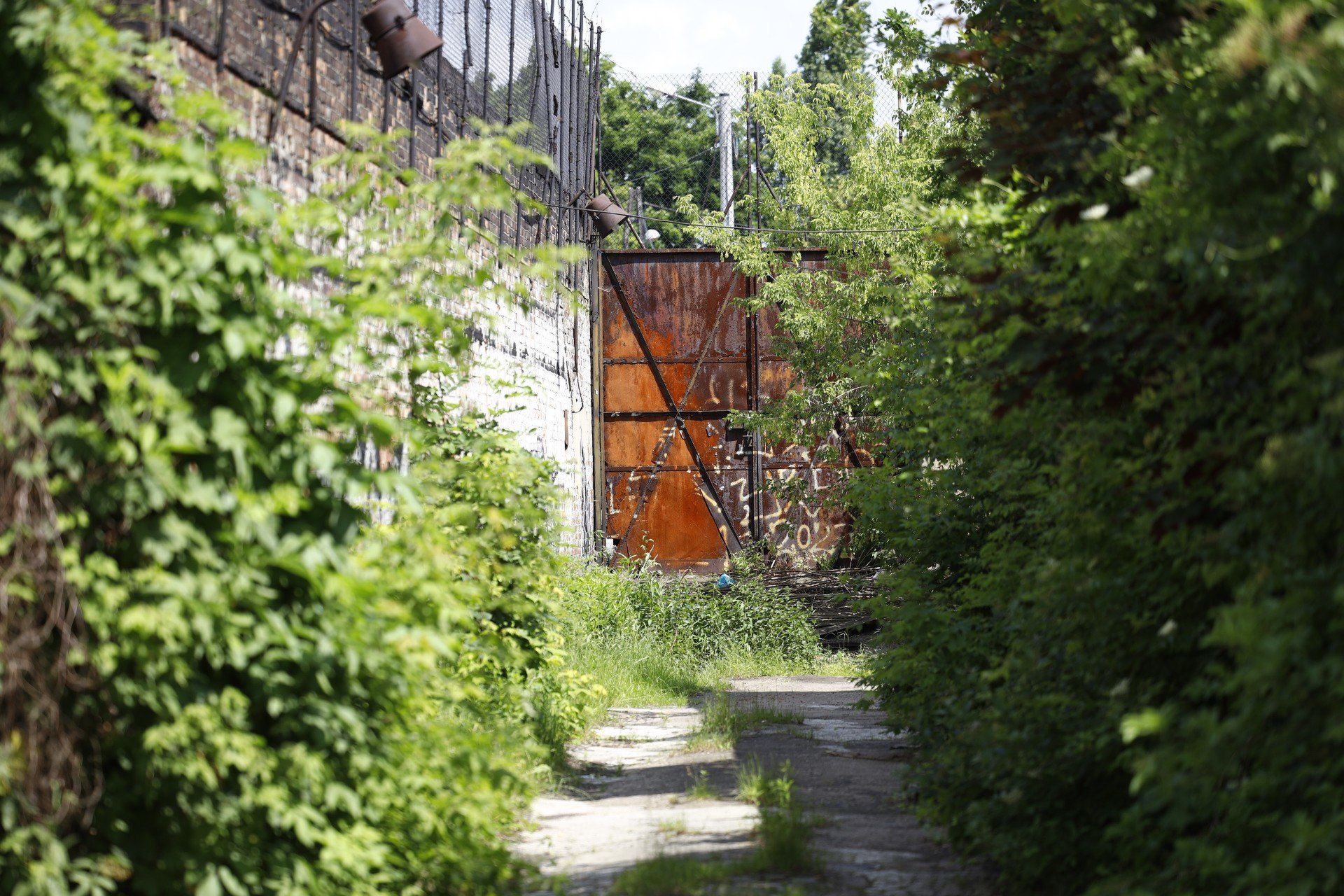 Tereny po dawnej fabryce ELANEX