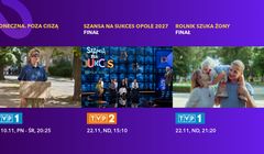 Tyle kosztują reklamy w Telewizji Polskiej. Nawet 240 tys. zł za spot