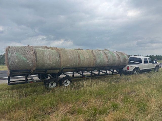 Bele siana, w których przemycano imigrantów