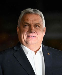 Orban musi grać na siebie [OPINIA]