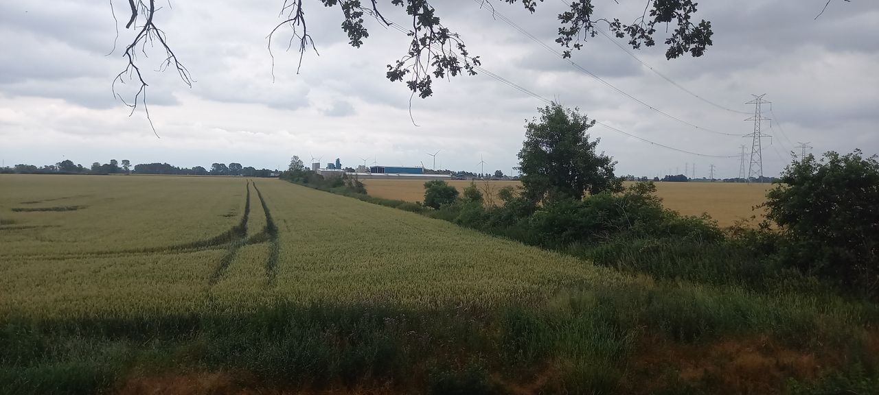 Działki burmistrza Jarocina Adama Pawlickiego. Tu powstaną nowe drogi