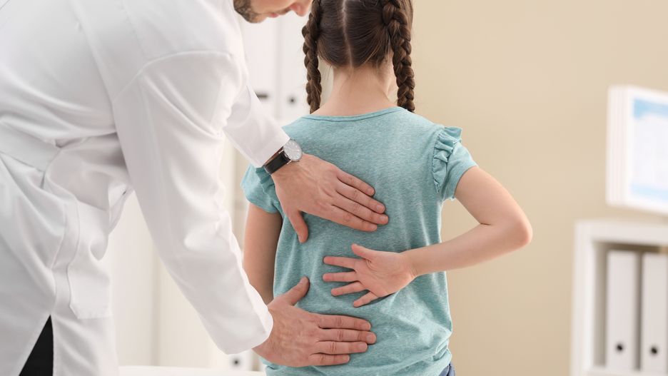 Chiropractor examining child with back pain in clinic
ache, arthritis, back, backache, background, body, care, caucasian, child, childhood, chiropractor, chronic, clinic, disease, doctor, examining, girl, health, hospital, hurt, illness, indoors, injury, kid, little, lounge, male, man, medical, medicine, pain, patient, people, physical, physiotherapist, problem, professional, rheumatism, sick, spine, strain, suffering, symptom, therapy, visit, young, ache, arthritis, back, backache, background, body, care, caucasian, child, childhood, chiropractor, chronic, clinic, disease, doctor, examining, girl, health, hospital, hurt, illness, indoors, injury, kid, little, lounge, male, man, medical, medicine, pain, patient, people, physical, physiotherapist, problem, professional, rheumatism, sick, spine, strain, suffering, symptom, therapy, visit, young