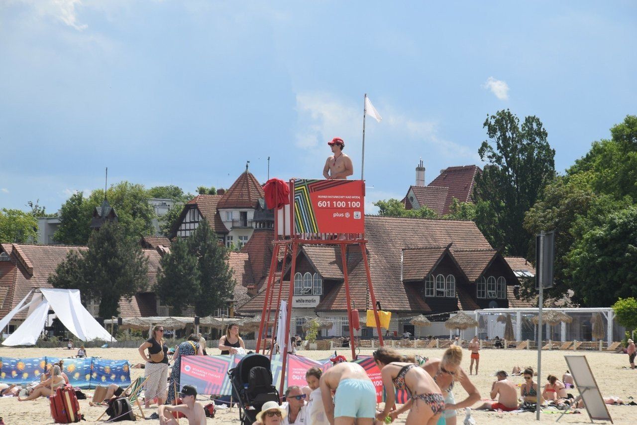 Sopot: Nieodpowiedzialne zachowanie turystów na plaży. Dzikie zwierzę otoczone przez gapiów