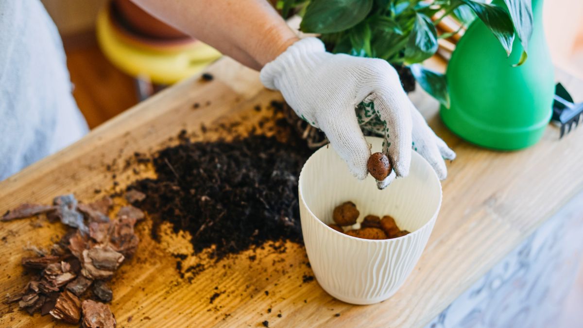 Tylko tak zrobisz drenaż w doniczce 