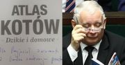 Kaczyński oddał "Atlas kotów" na cele charytatywne!