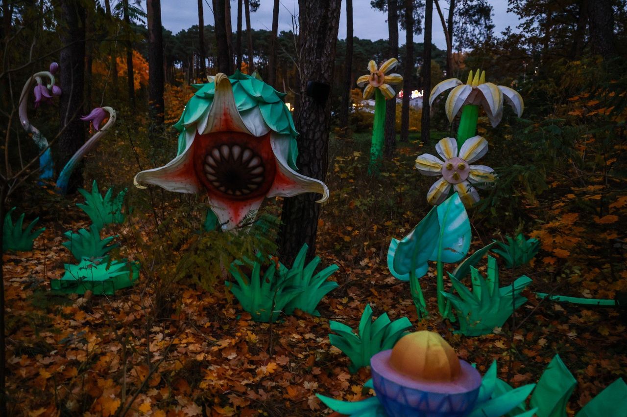 Poznań: Lumina Park znów zaświecił