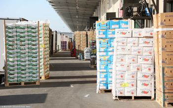 Przerwa największego rynku rolnego. Oto do kiedy będzie zamknięty