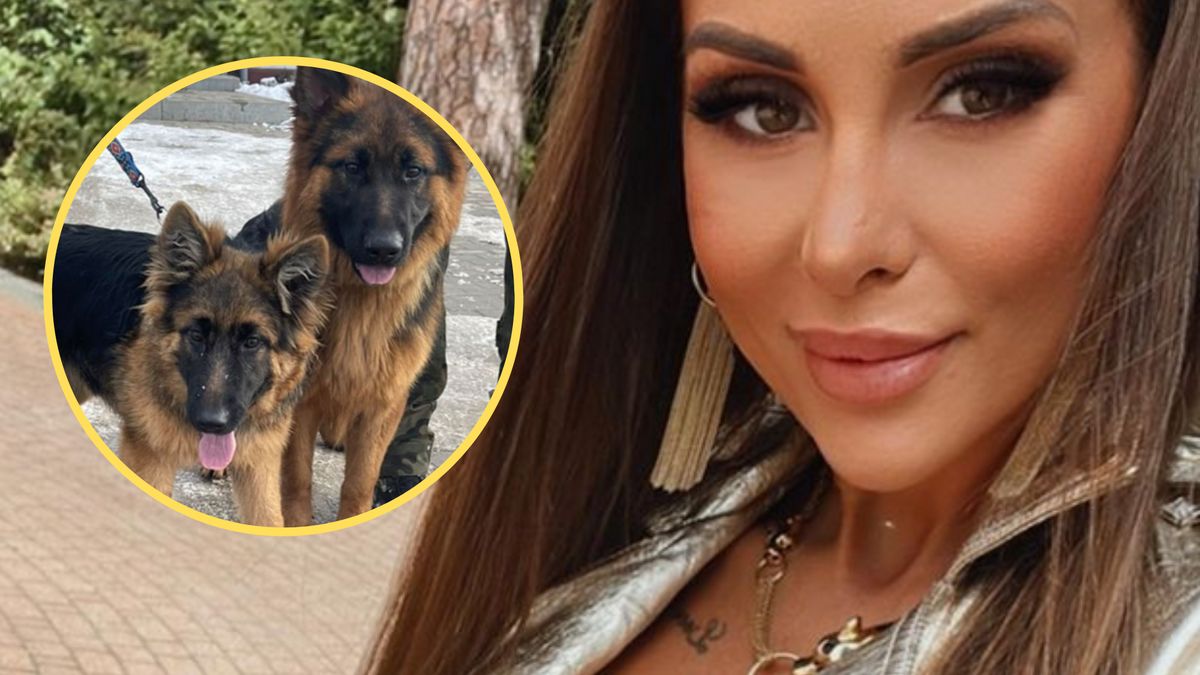 Celebrytka narzekała, że zwierzęta wciąż jej uciekają